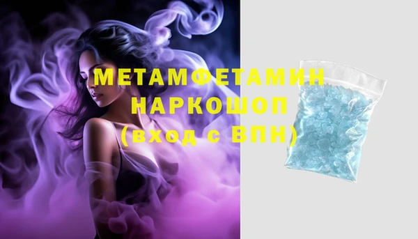 молекула духа Ладушкин