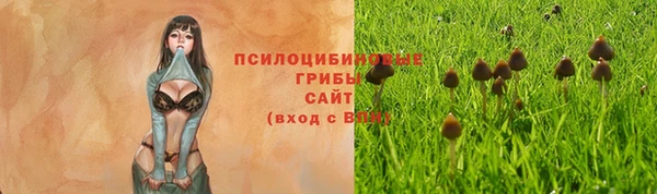 метадон Протвино