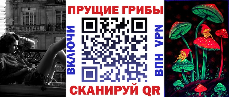 где можно купить   Курчатов  Псилоцибиновые грибы MAGIC MUSHROOMS 