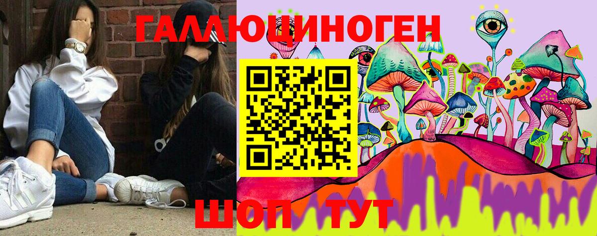 Псилоцибиновые грибы MAGIC MUSHROOMS Курчатов